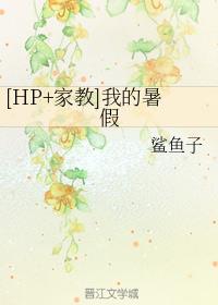 （HP+家教同人）我的暑假